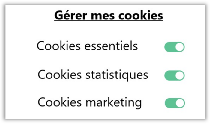 Interface de gestion des cookies qui indique que les options cookies essentiels, cookies statistiques et cookies marketing sont actives. 
